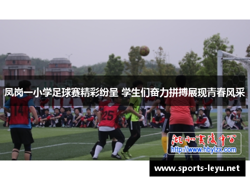 凤岗一小学足球赛精彩纷呈 学生们奋力拼搏展现青春风采